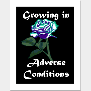 Gay (MLM) Pride Rose Posters and Art